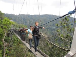 canopy walk