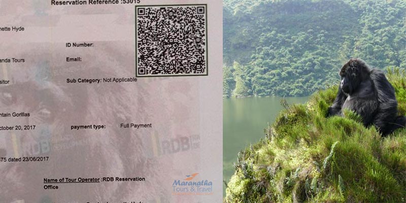 Booking Gorilla permits in Rwanda Uganda and Congo