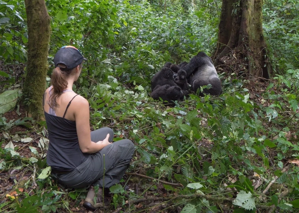 uganda gorilla trekking cost