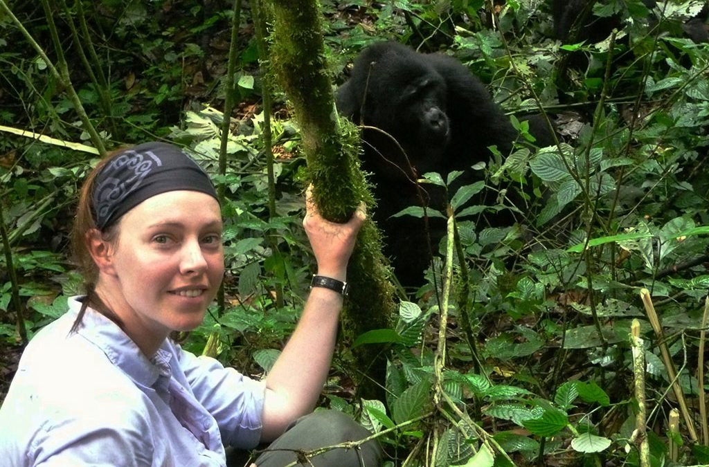 gorilla trekking solo