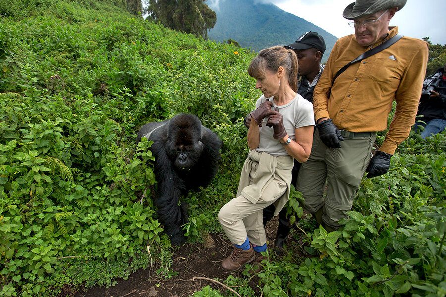 gorilla trekking difficulty