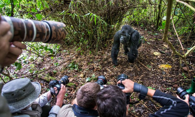 trekking photography