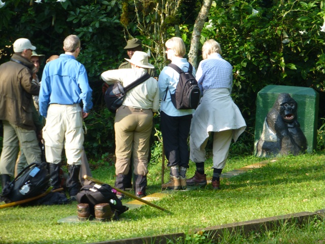 gorilla trekking safety tips