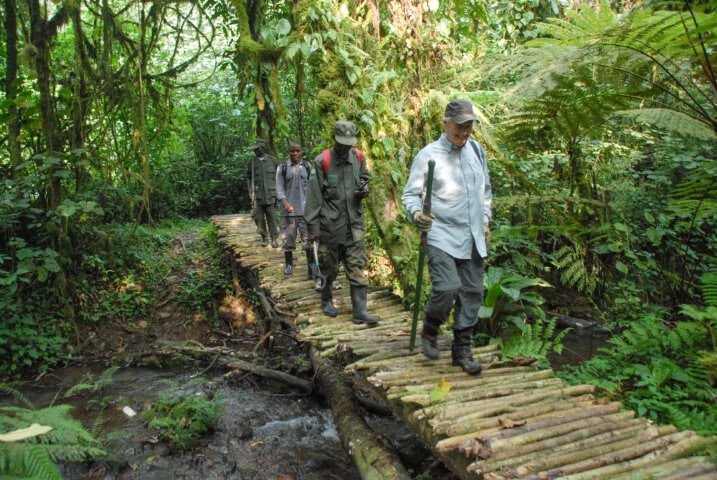 gorilla trekking health insurance