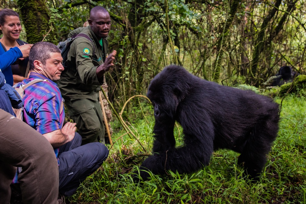 Bwindi history