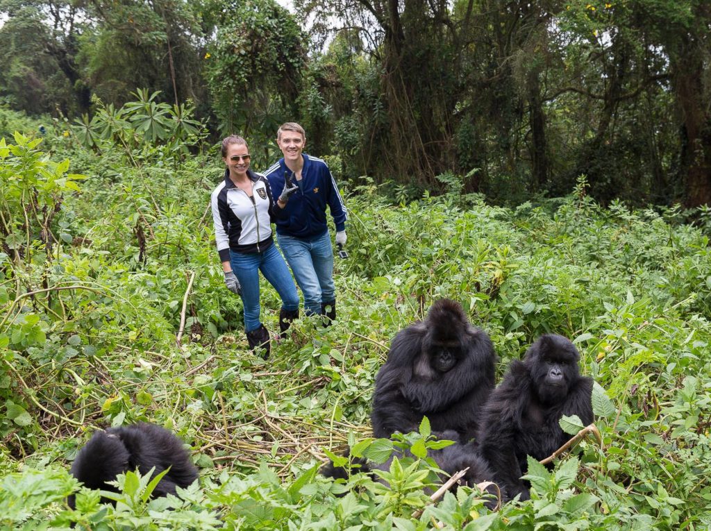 self-guided gorilla trek