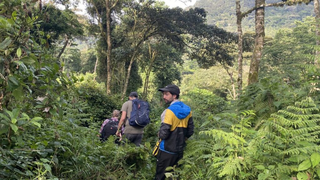 high altitude gorilla trekking