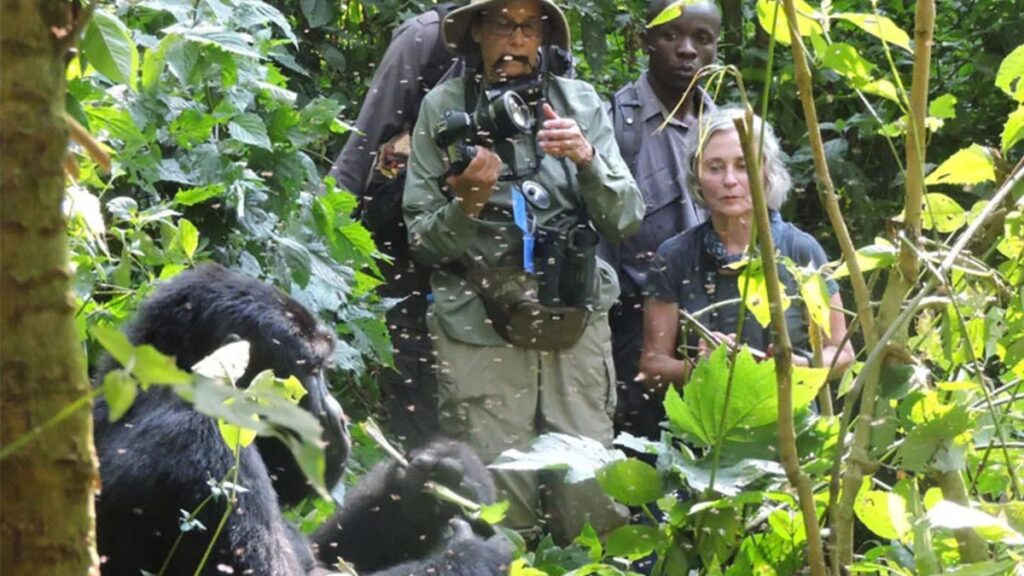 Uganda conservation volunteer