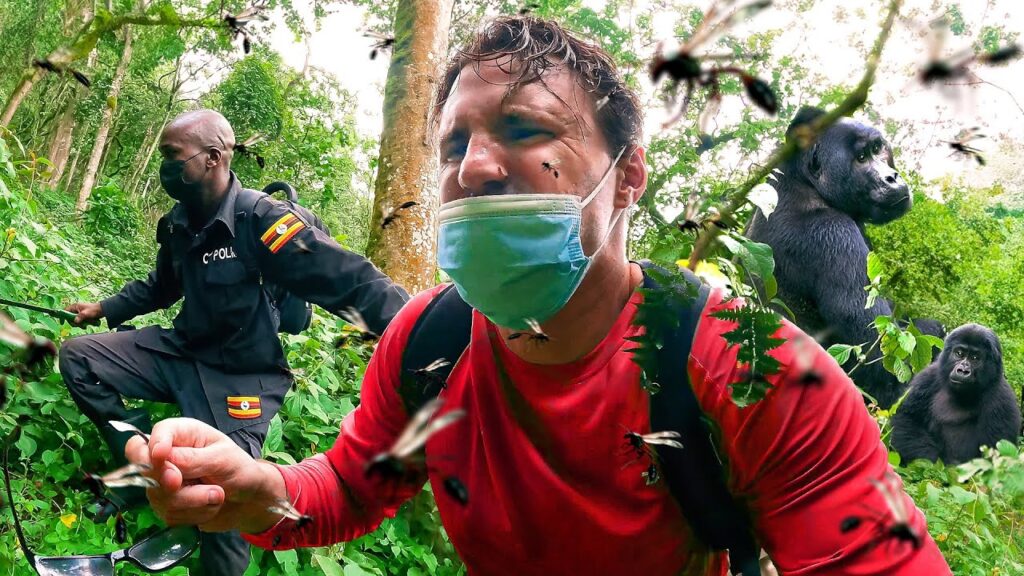 gorilla trekking emergencies