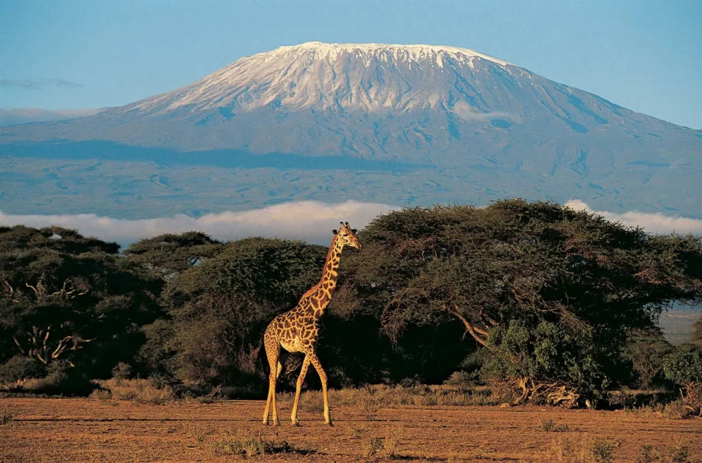 Highest Mountain in Africa