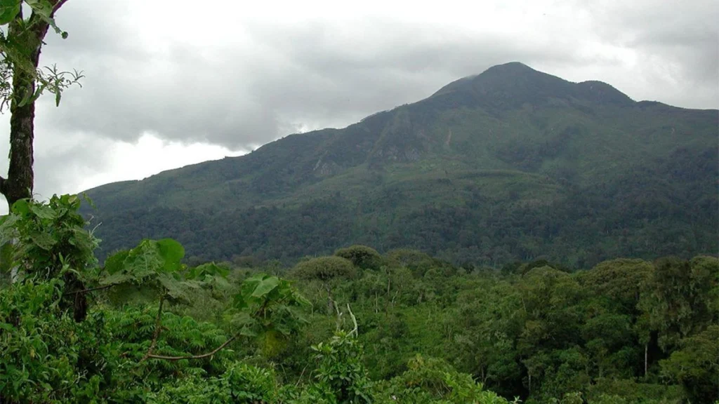 Kahuzi-Biega National Park