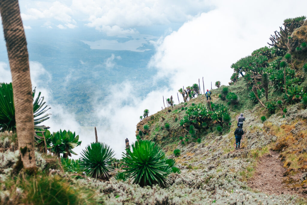 Mount Muhavura hike