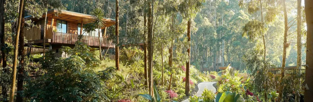 Rwanda Luxury Lodges
