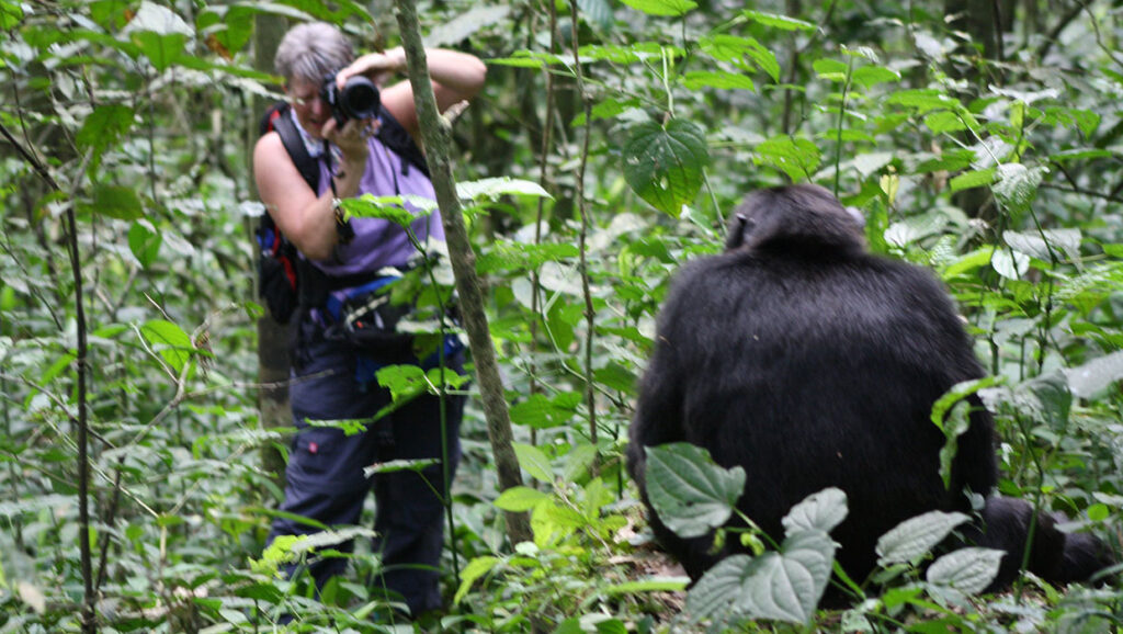 chimpanzee trekking packing list