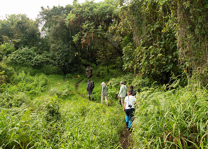physical fitness for chimpanzee trekking