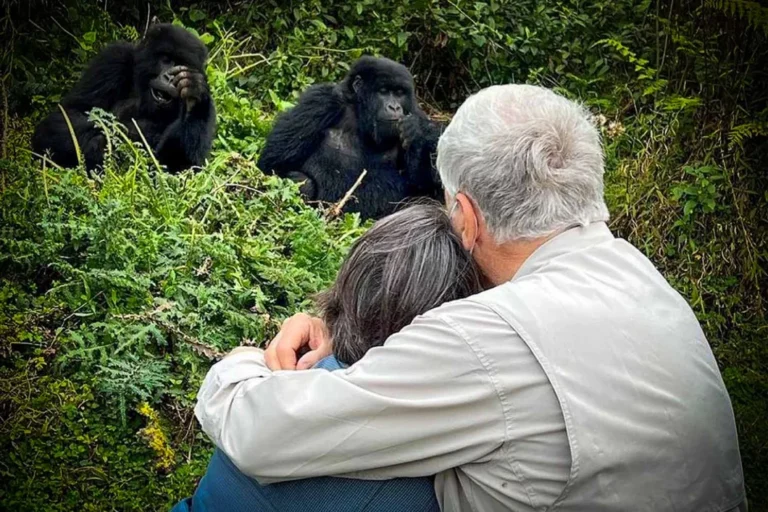 Gorilla Trekking Medical Clinic Kisoro