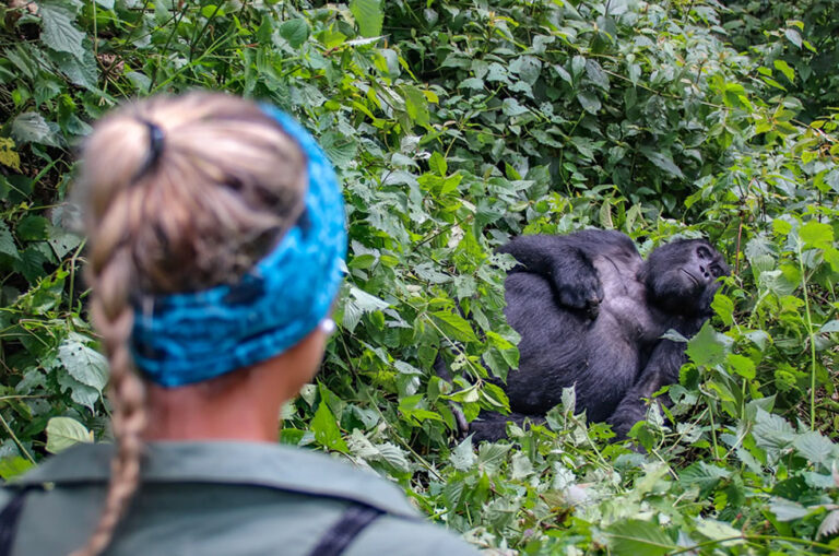 Gorilla Safari Visitor Demographic Profile