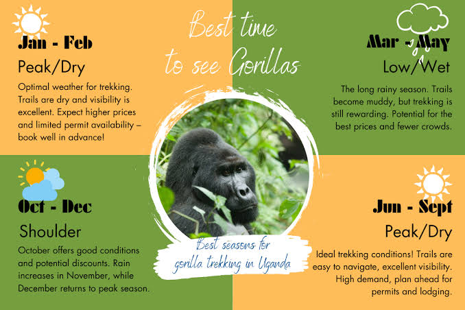 Gorilla Trekking Net Promoter Score