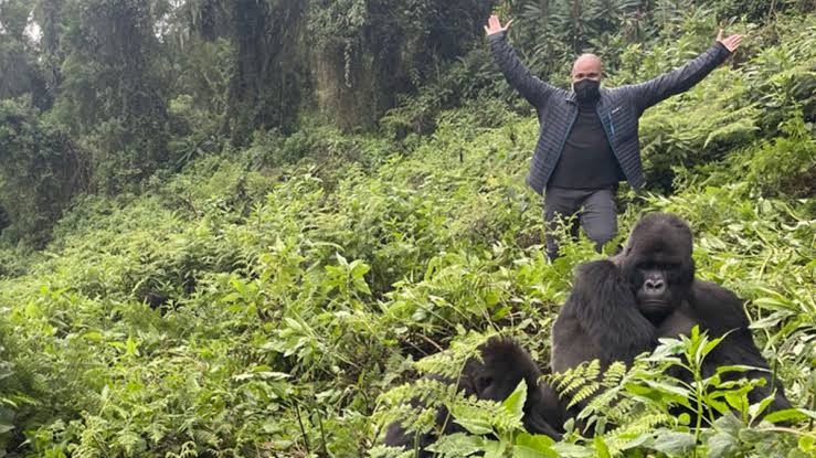 Gorilla Trekking Travellers Forum