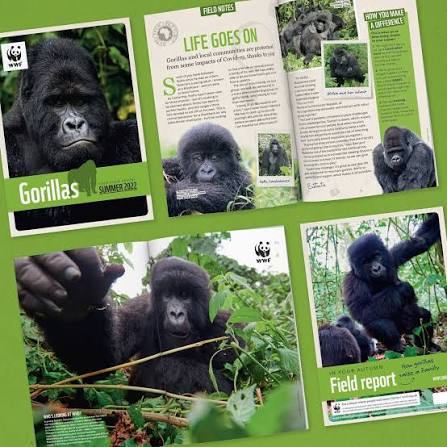 Adopt a Gorilla Programme