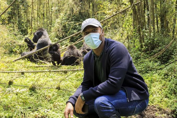 Gorilla Trekking Transparency Report