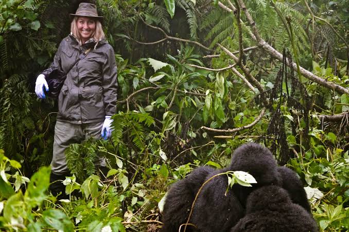 Gorilla Trekking Consumer Protection