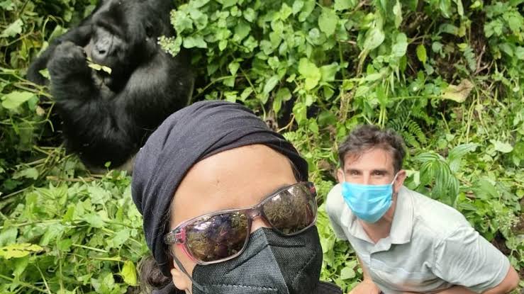 Gorilla Trekking Stolen Passport Uganda