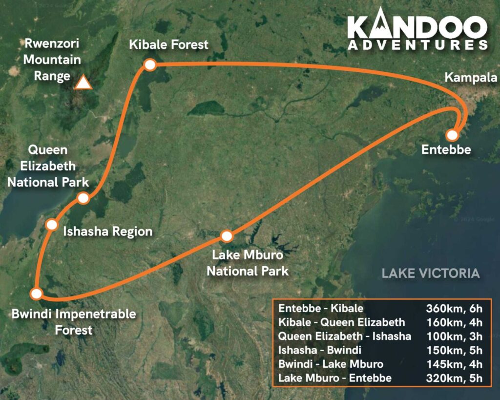 Gorilla Trekking Customer Journey Map