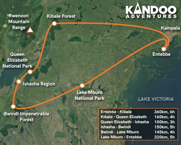 Gorilla Trekking Customer Journey Map