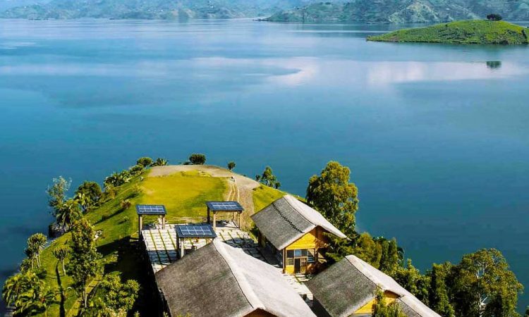 Rwanda-DRC Safari Combined