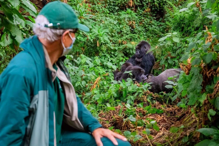 Kigali Airport Gorilla Parks Transfer: