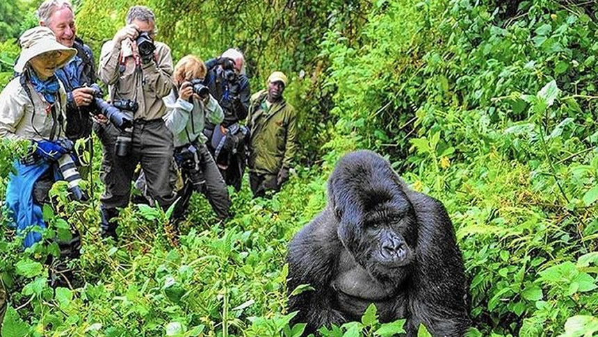 Park Headquarters Arrival for Gorilla Trek