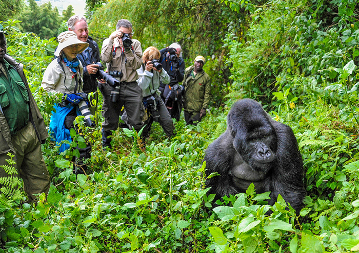 Kigali Convention Centre Gorilla Trips