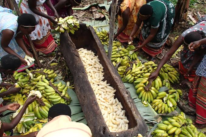 Banana Beer Uganda Safari