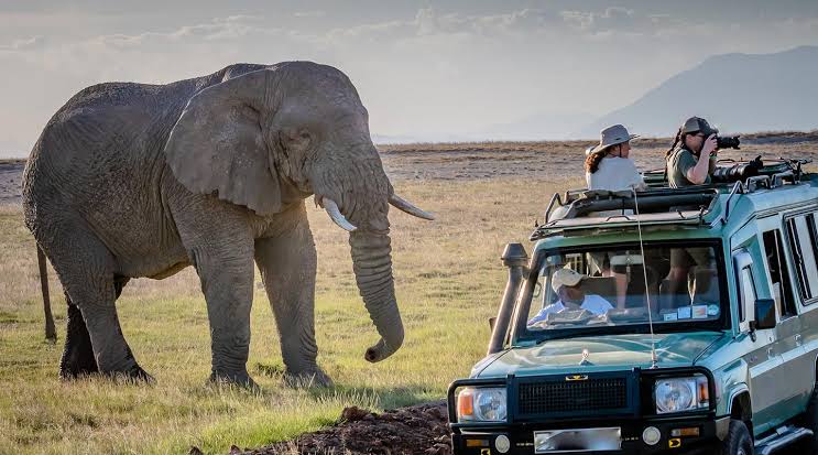 Game Drive Queen Elizabeth National Park