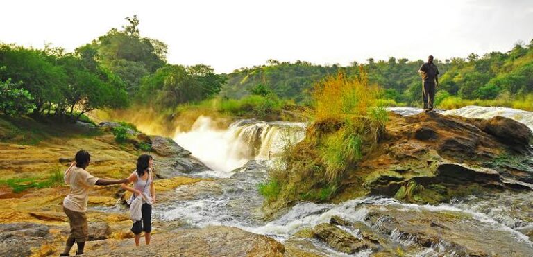 Murchison Falls National Park Guide