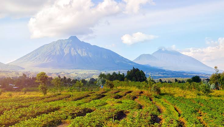Virunga Massif Travel Guide