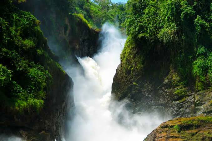 Gorilla Trekking Waterfall Hike Uganda