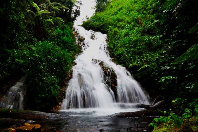 Gorilla Trekking Bwindi Waterfall: