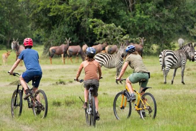 Mountain Biking Uganda Safari