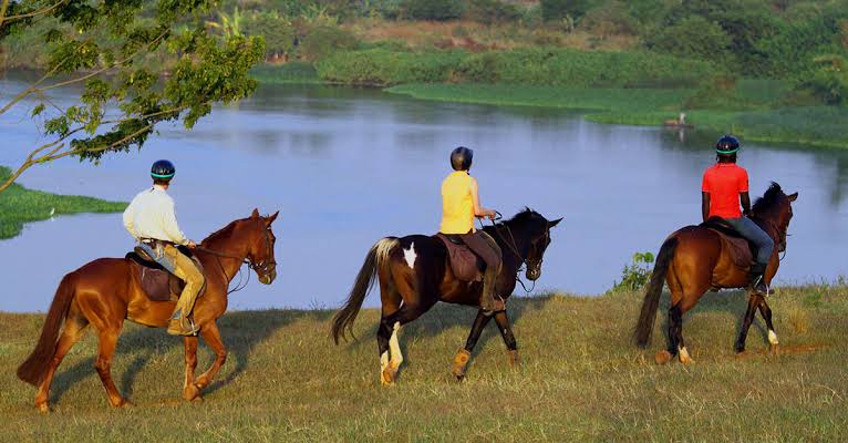 Horse Riding Safari Uganda Gorilla Region