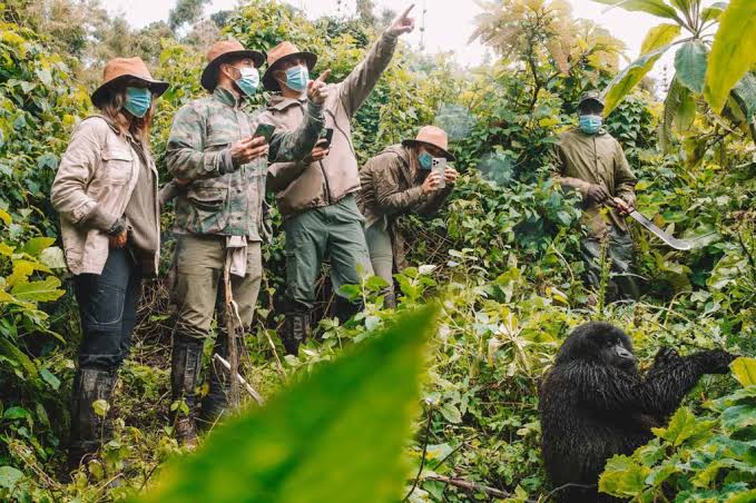 Gorilla Trekking March Guide