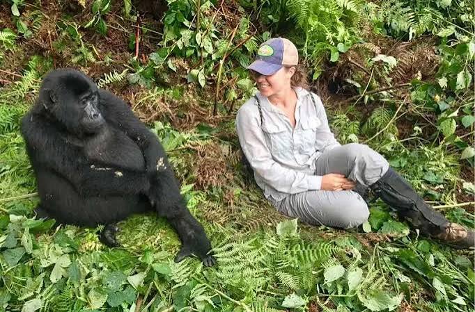 Gorilla Trekking Sick Day Policy:
