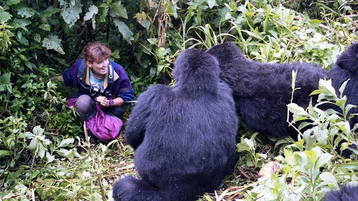 What Happens After Gorilla Trekking?