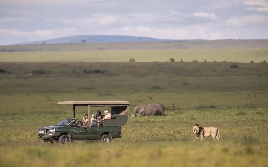 Most Unique Safari Experiences Africa 2026