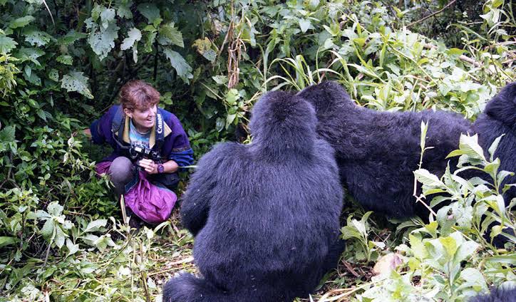 Gorilla Trekking Reddit Community Tips